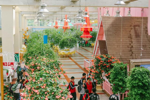 广州南沙百万葵园,广州百万葵园景点图片大全