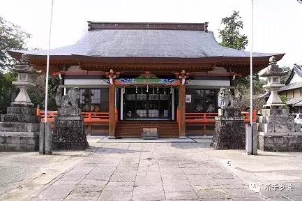 日本东京熊本熊,日本熊本游
