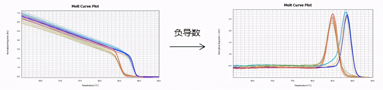 qpcr一点曲线都没有,qpcr循环数不一样怎么办