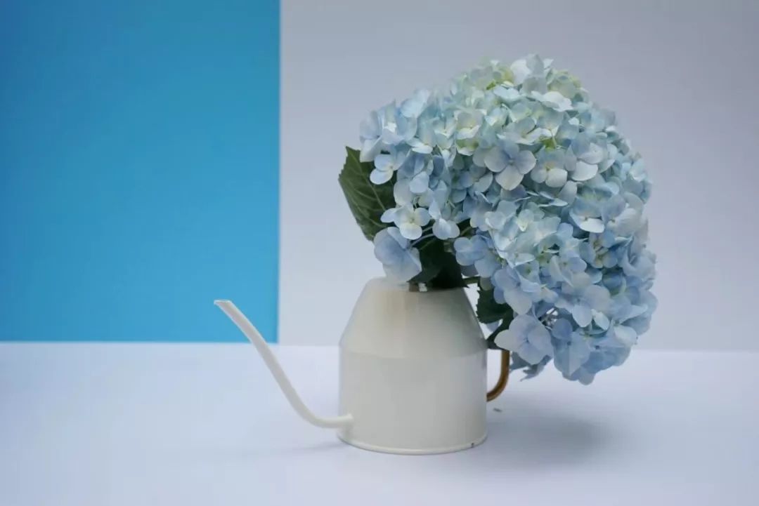 看完这份520浪漫清单,女朋友夸我是情圣