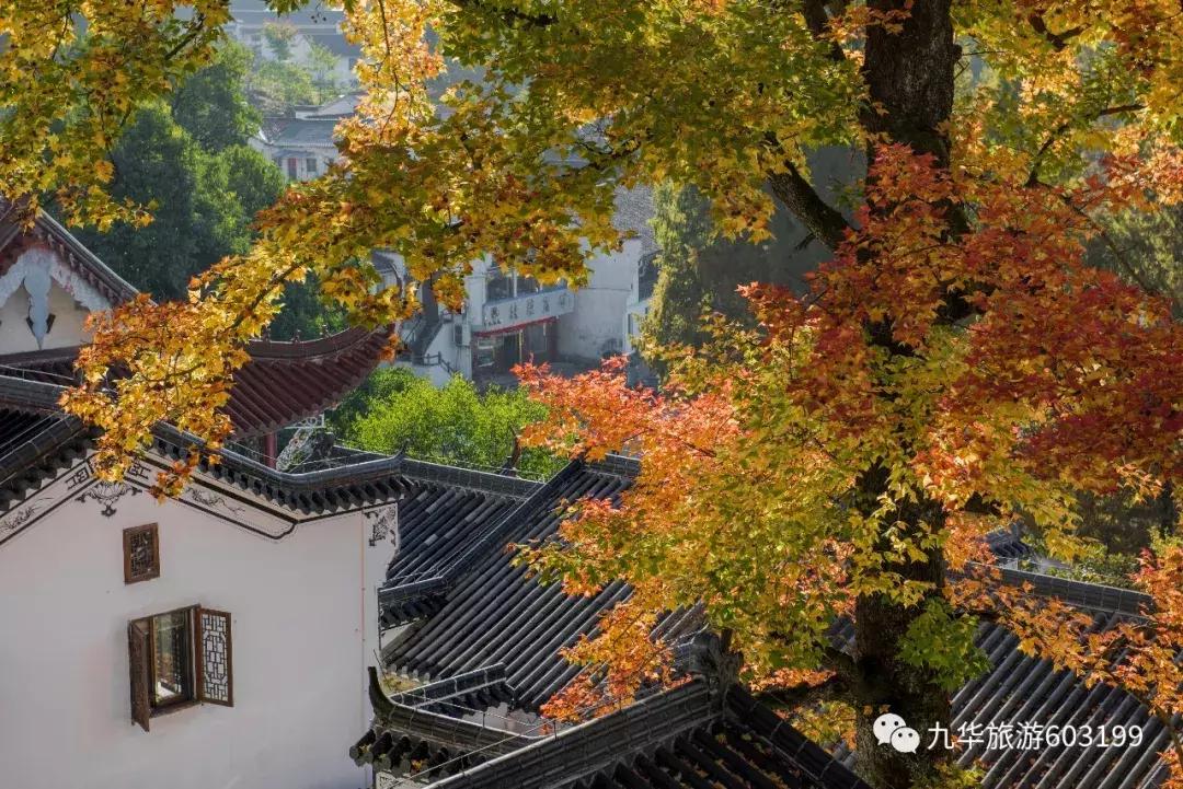 2022年九华山风景区65岁以上免票吗,九华山免票安徽