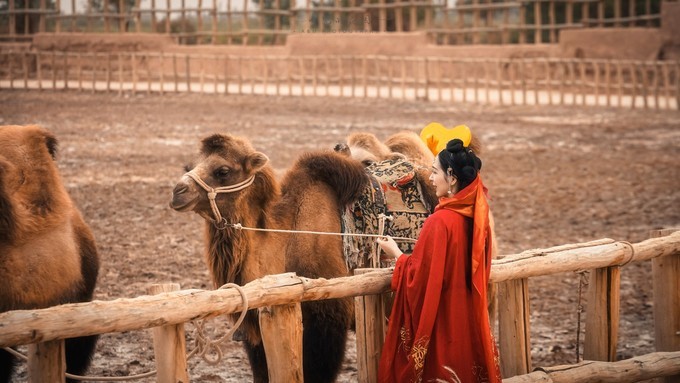 大美*疆新**，一个快递不包邮的地方，藏着不一样的异域风情