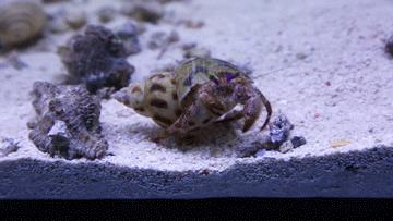 绚丽珊瑚海300+种海底生物，火爆盆友圈的网红打卡圣地就在中山路