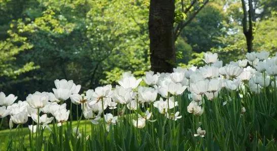 中考真题：谷雨时节“播种”忙，洒下汗水种“希望”