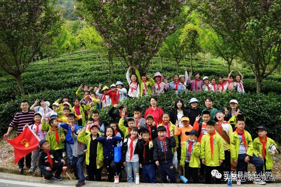 期末班级户外实践活动小学,平岚小学户外拓展研学活动