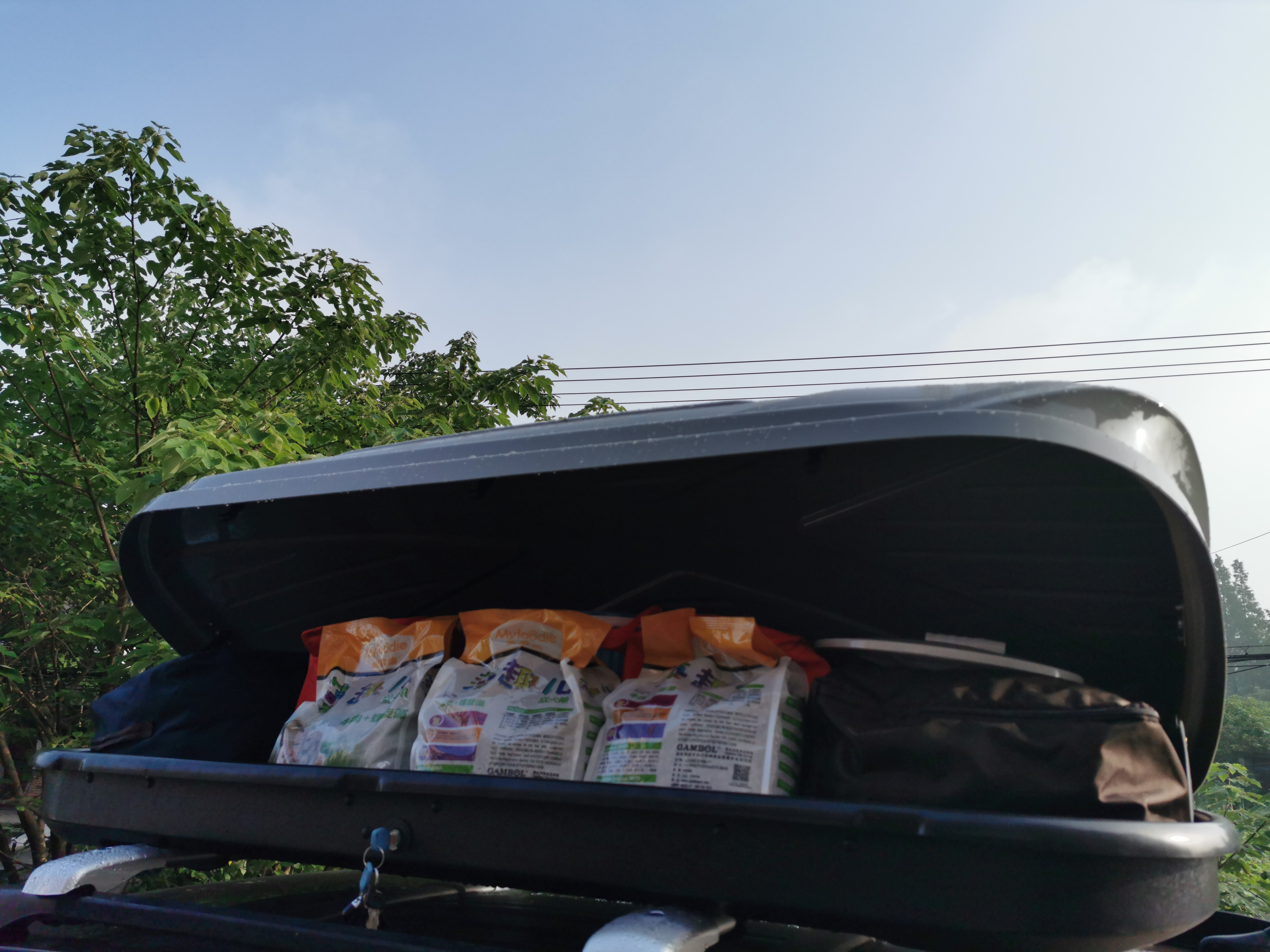 第一次带着狗狗去旅行,带狗狗去高原应该准备什么