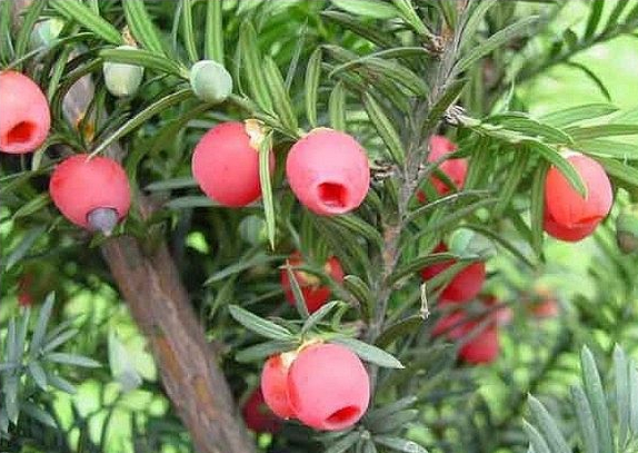 小孩为什么抗拒穿纸尿裤,孩子抗拒穿厚衣服