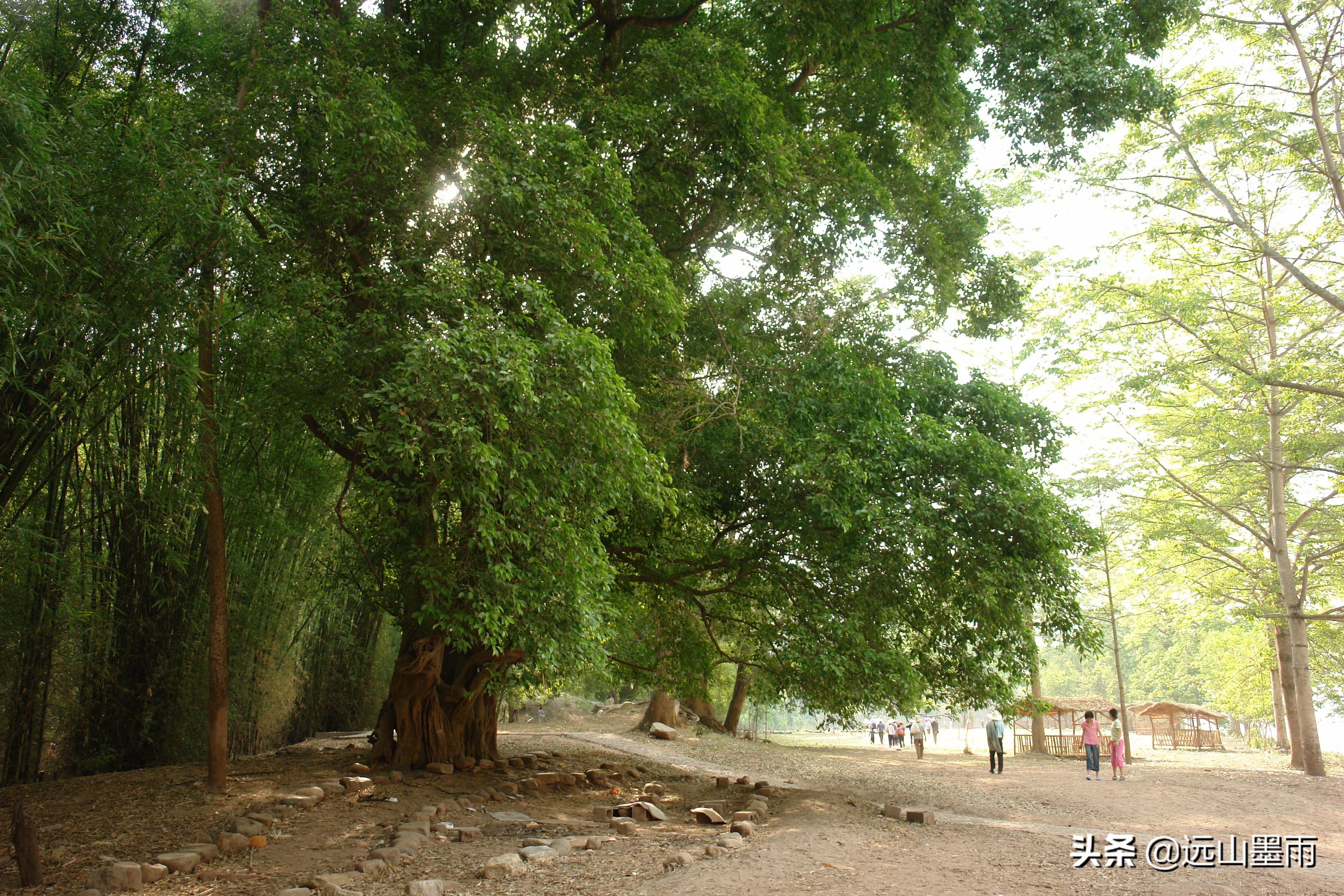 通往云南景谷的高速公路已在建，去这个美丽县城的路，将不再难行