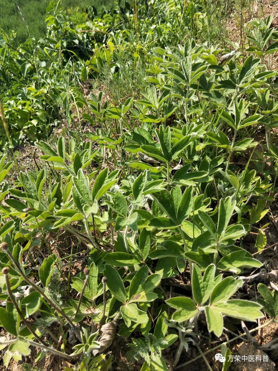 跟我回家在线免费看,跟我回家免费看