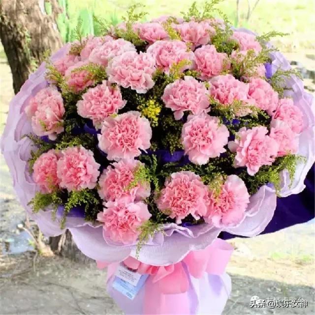 送给老师教师节礼物康乃馨,康乃馨教师节祝福语简短10字