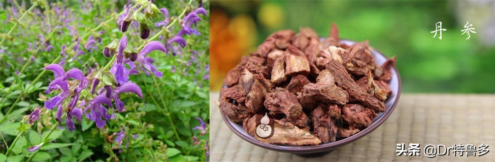 骨折了吃什么草药恢复的快,骨折只愈合一半怎么办