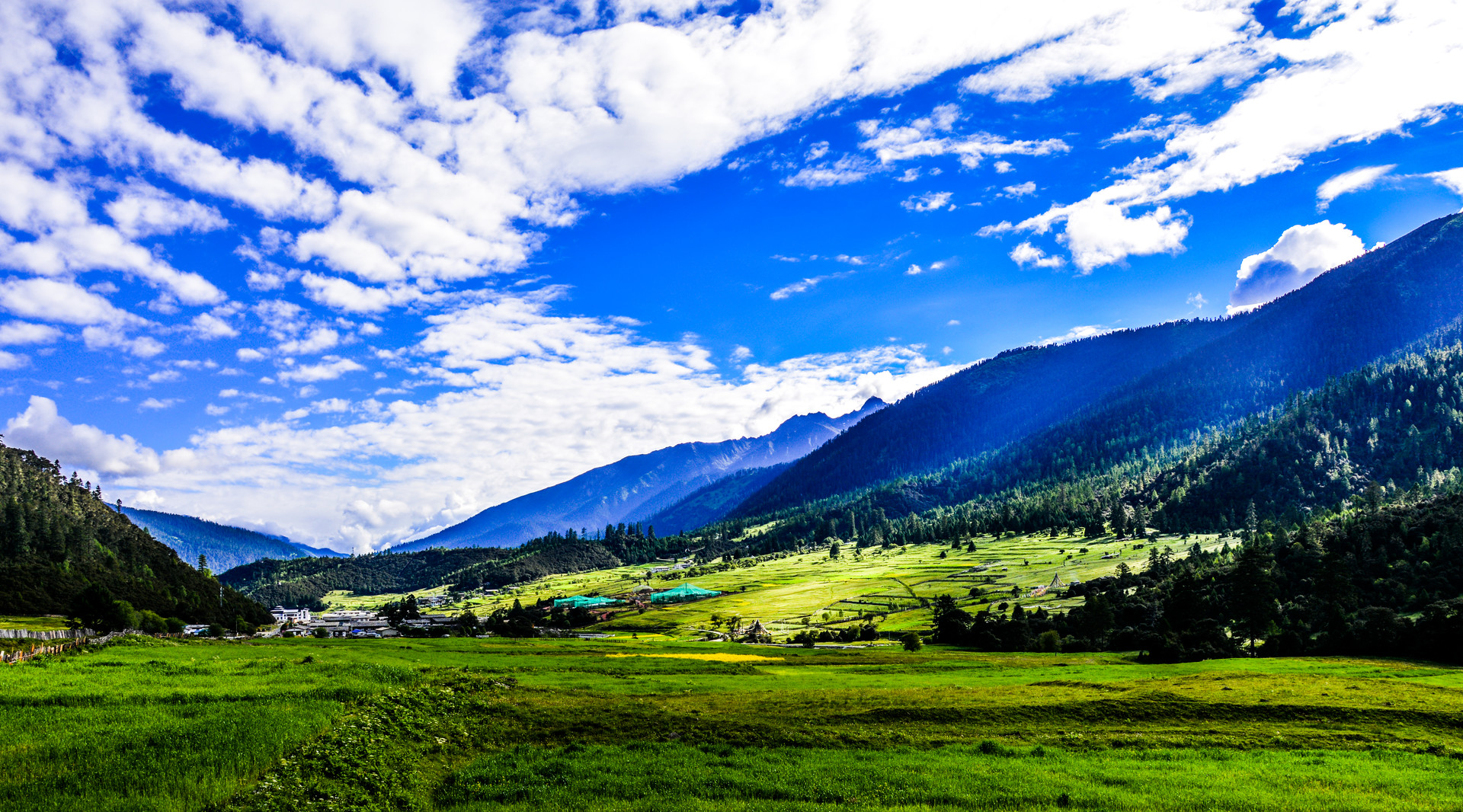 开车去西藏第40天攻略,自驾去西藏避免高反的最佳路线