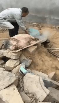 开心时刻大爷视频,开心一刻一波搞笑gif图送给你