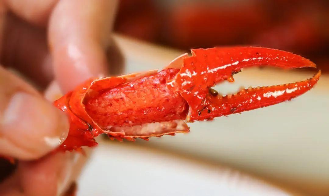 龙虾吃得最多的是哪个地方,全国小龙虾必吃50强