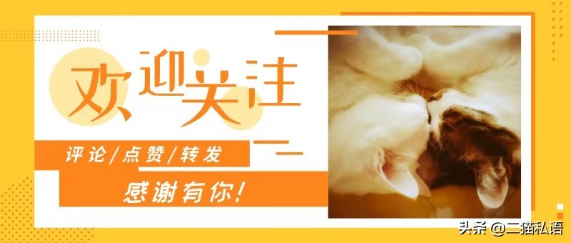 猫咪咬断的线,为什么猫咪喜欢把绳子咬断
