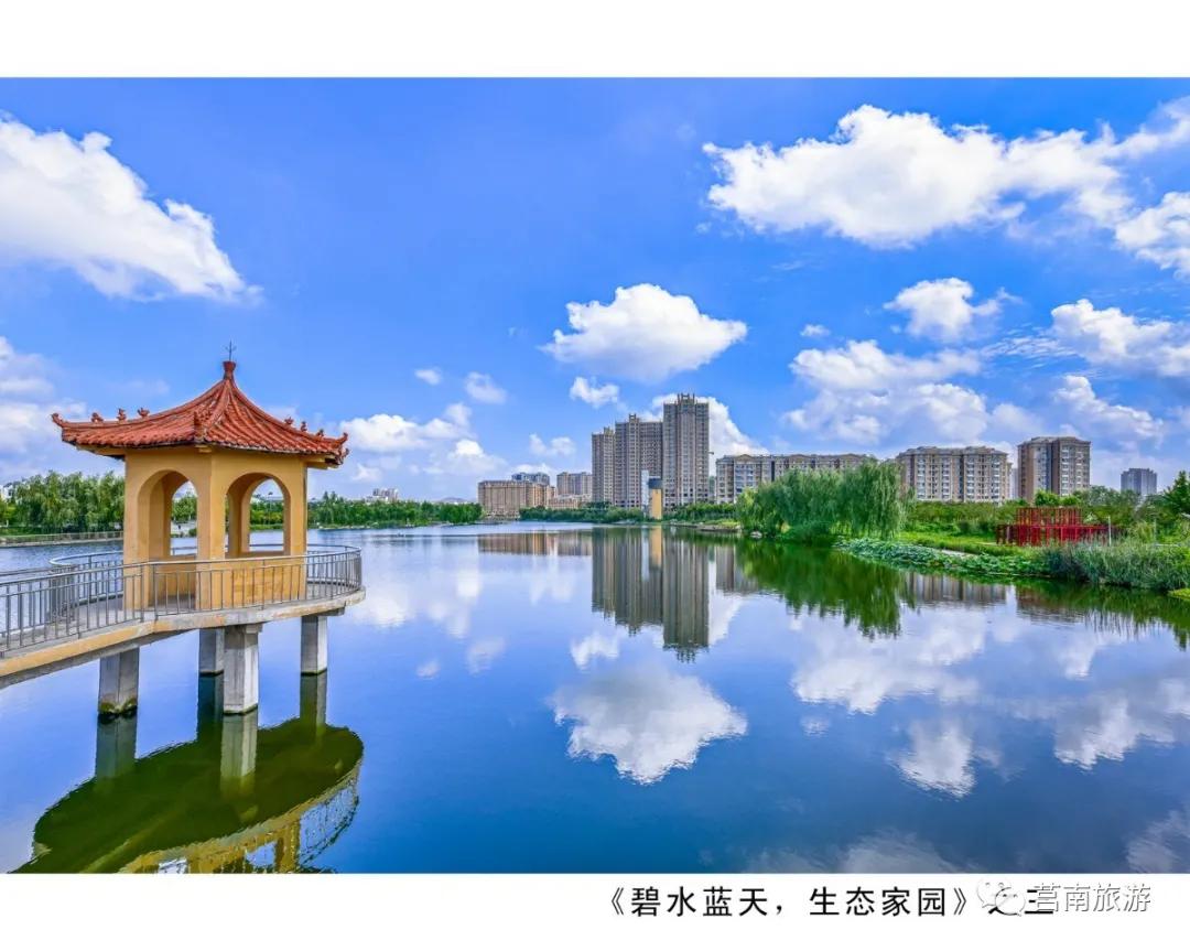 悦享莒南|惊艳了莒南蓝，温暖了遇见