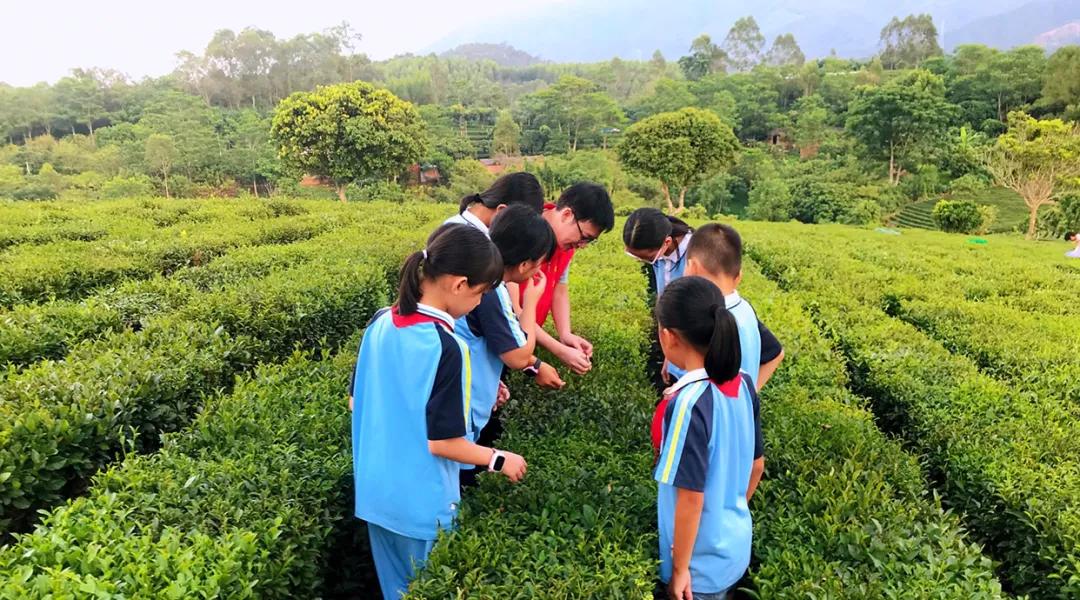 复兴少年宫放飞少年梦,乡村复兴少年宫挂牌