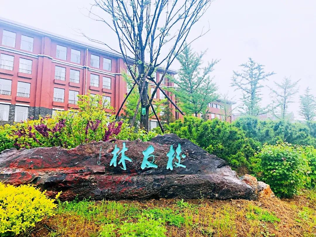 民办学校大连艺术学院全国排名,大连艺术学院辽宁排名