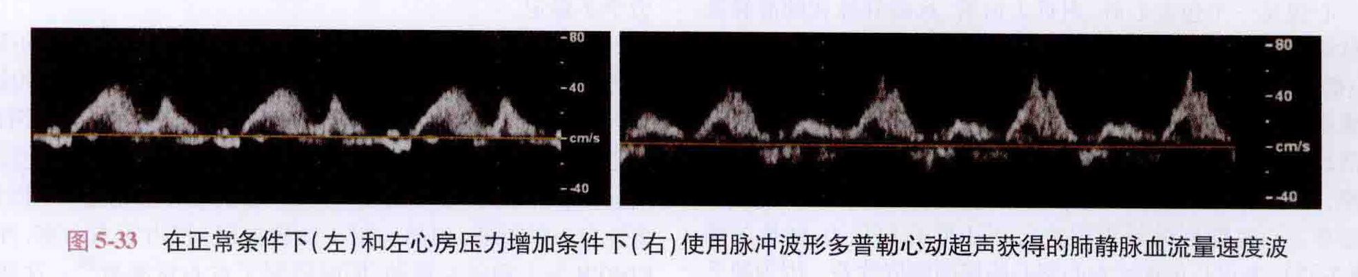 卡普兰教授的五本书的学习顺序,卡普兰教授著作