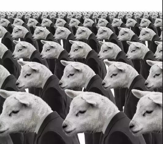 美国网红的一次直播，扯出美国史上最大招生丑闻