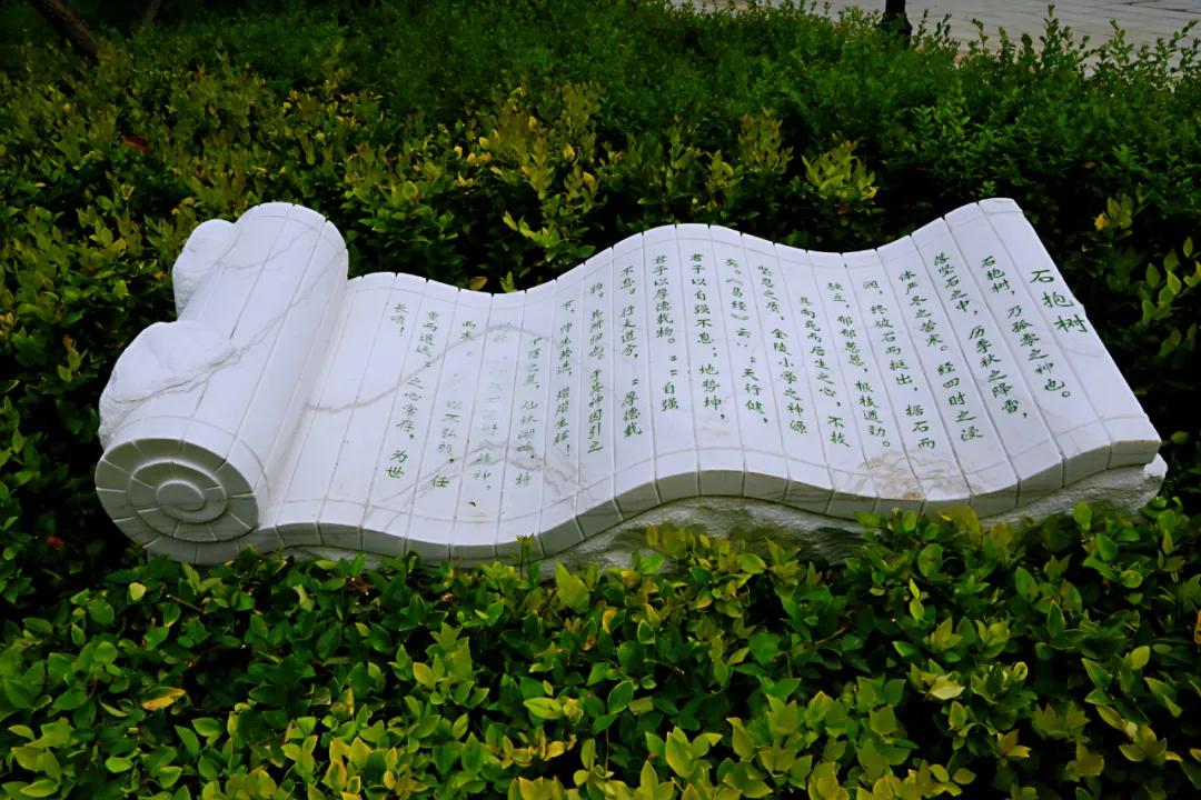 南京大学金陵小学怎么样,南京金陵小学仙林湖校区学费