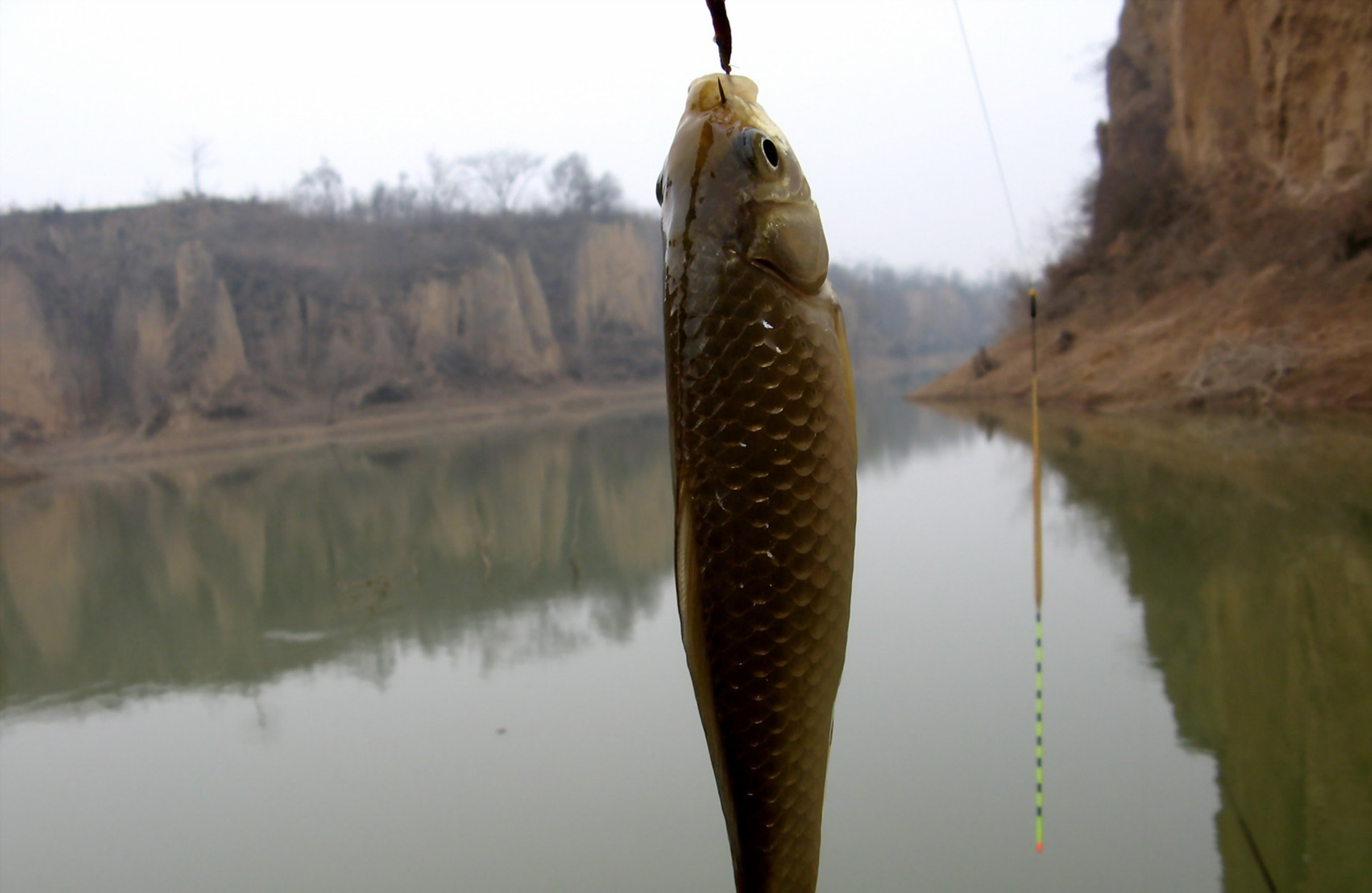野钓哪种鱼钩可以大小兼顾,野钓选择什么鱼钩可以大小兼顾