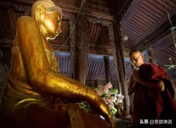 阿弥陀佛经典偈语语录摘抄,佛语阿弥陀佛感悟人生