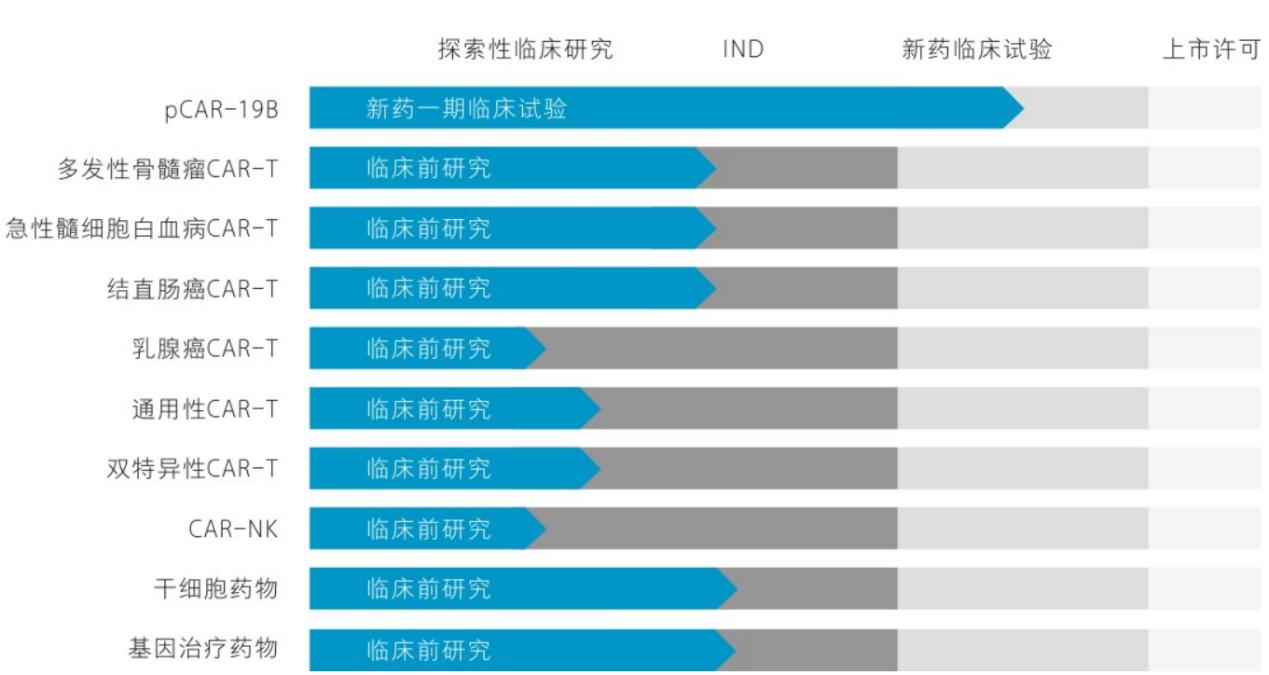 中国免疫细胞治疗成功案例,免疫治疗的现状及发展前景