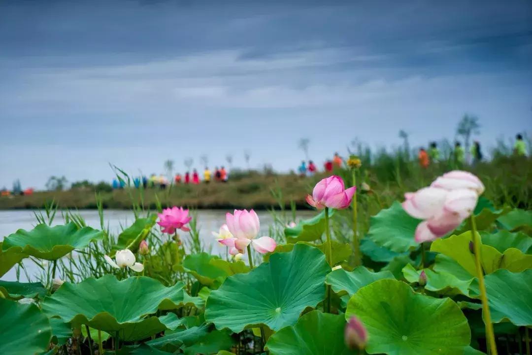 张掖啥意思,张掖古代叫什么