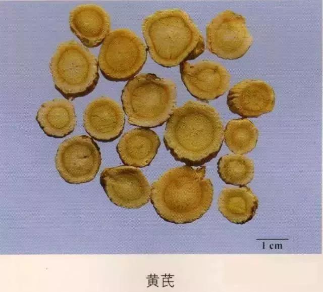 中药材图片大全大图带药名,200多味中药材图谱带图