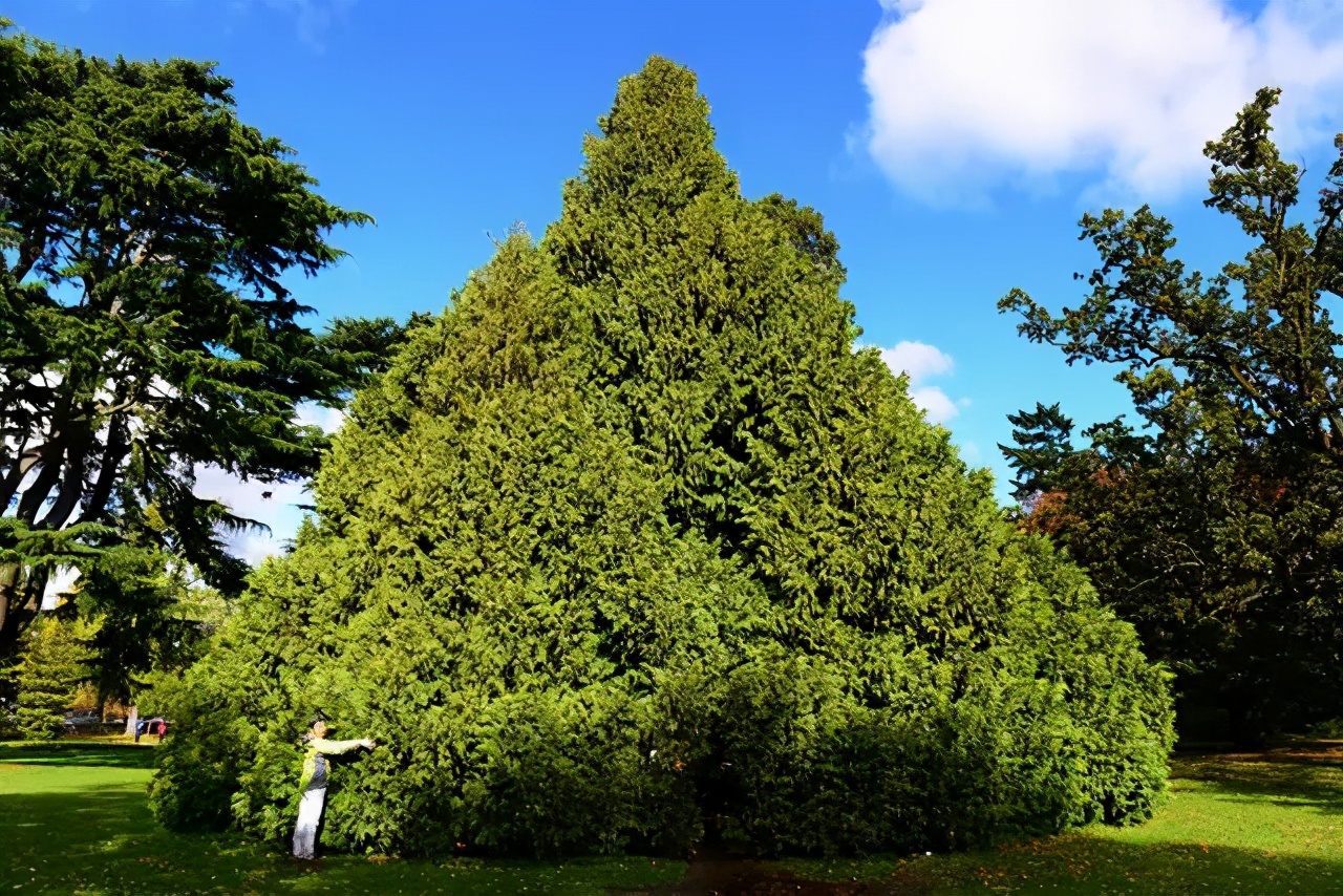 新西兰旅游地标图片,探寻新西兰基督城的英伦风情