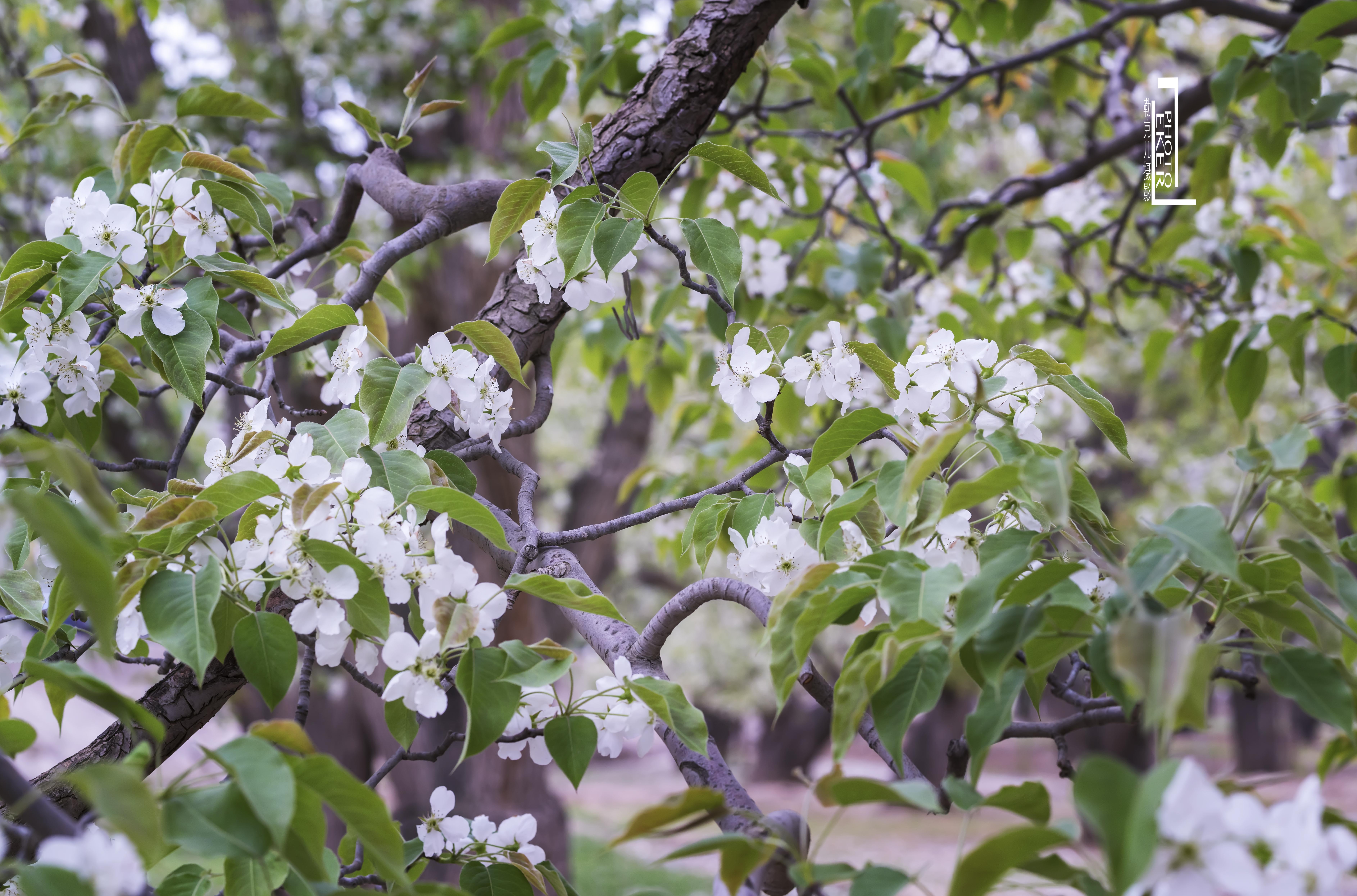 大西北戈壁滩怎么形成的,我国西北地区大戈壁滩形成原因