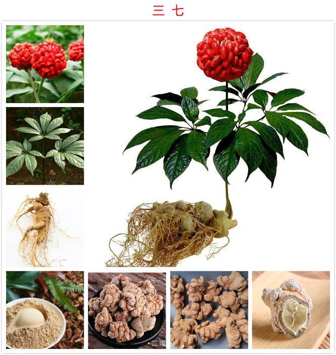 美舍雅阁成都店铺,美舍雅阁化妆品护肤品