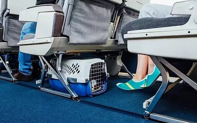 穿了跟没穿一样的鞋,穿了跟没穿似的鞋子