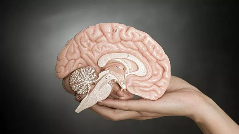 抑郁脱发小妙招,怎么样减少脱发并生发