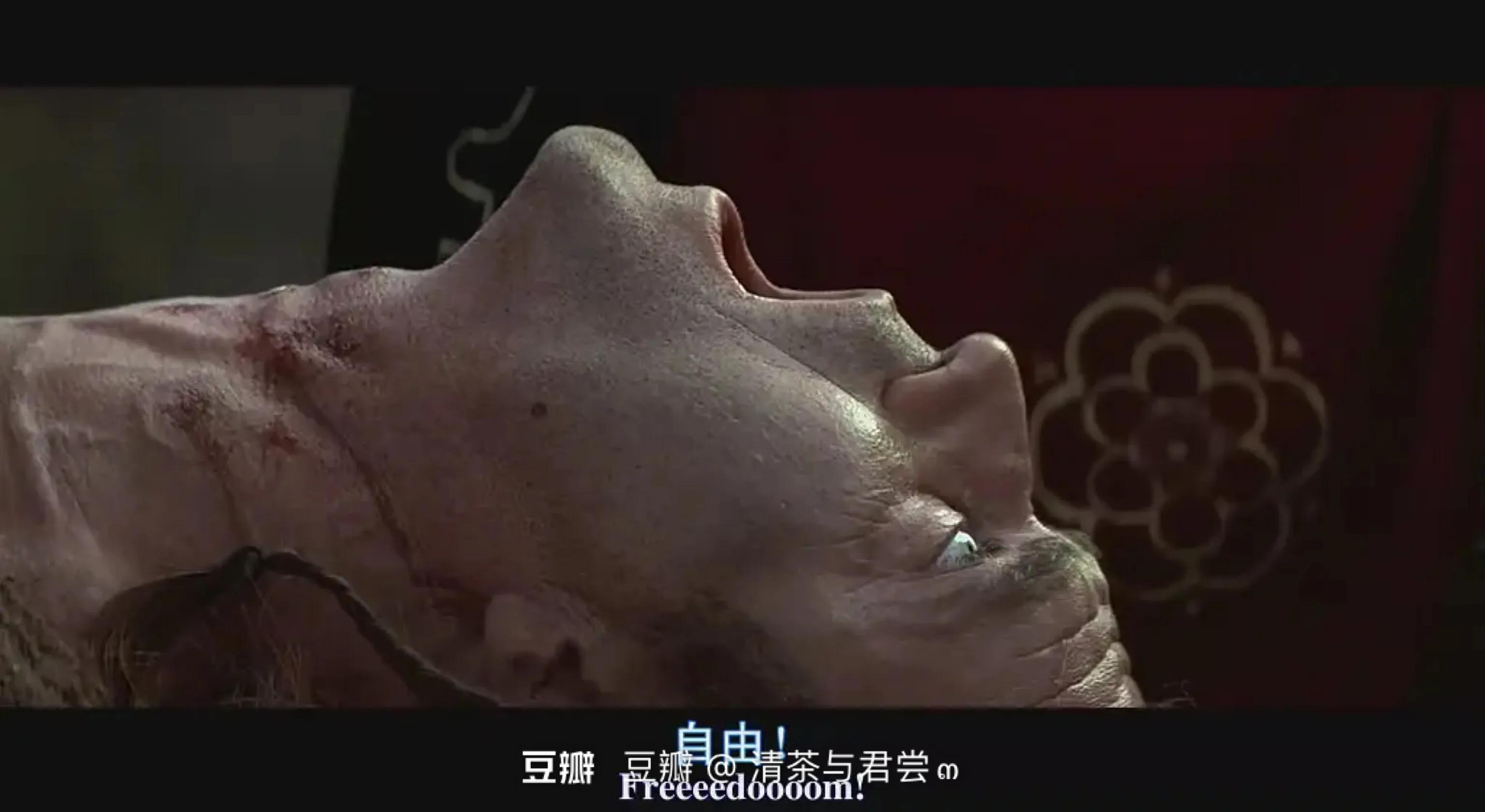 电影勇敢的心完整版,勇敢的心电影经典片段