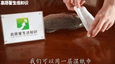 快死的鱼放到河里还能活吗,快死的鱼还在挣扎能活吗