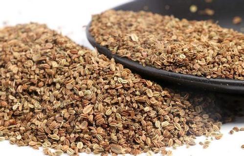 中药蛇床子外用怎么熬,蛇床子加什么祛风止痒