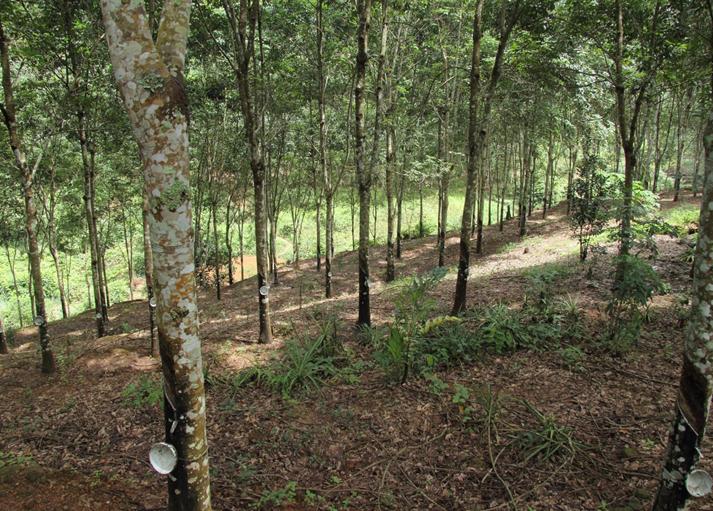 假如沙特石油枯竭,石油储量第一沙特不怕石油枯竭吗