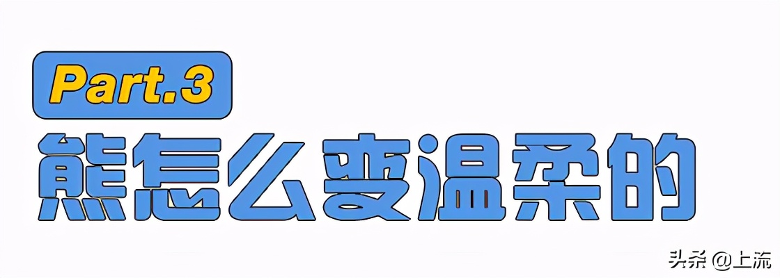 为什么毛绒玩具都是熊,为什么毛绒玩具熊偏多