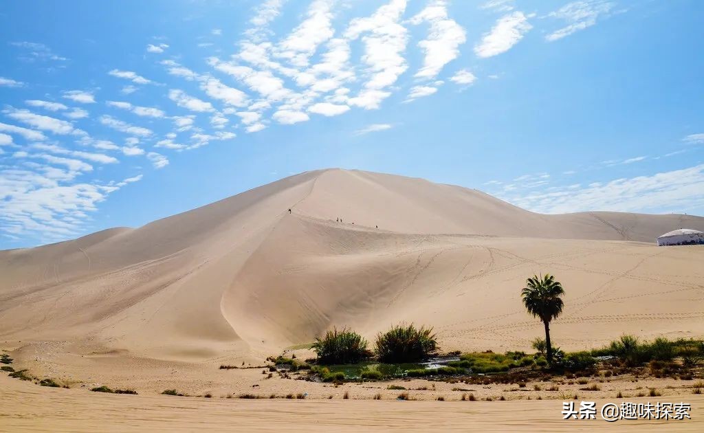 全球沙漠变绿洲会怎样,世界上的沙漠全变成绿洲会怎样