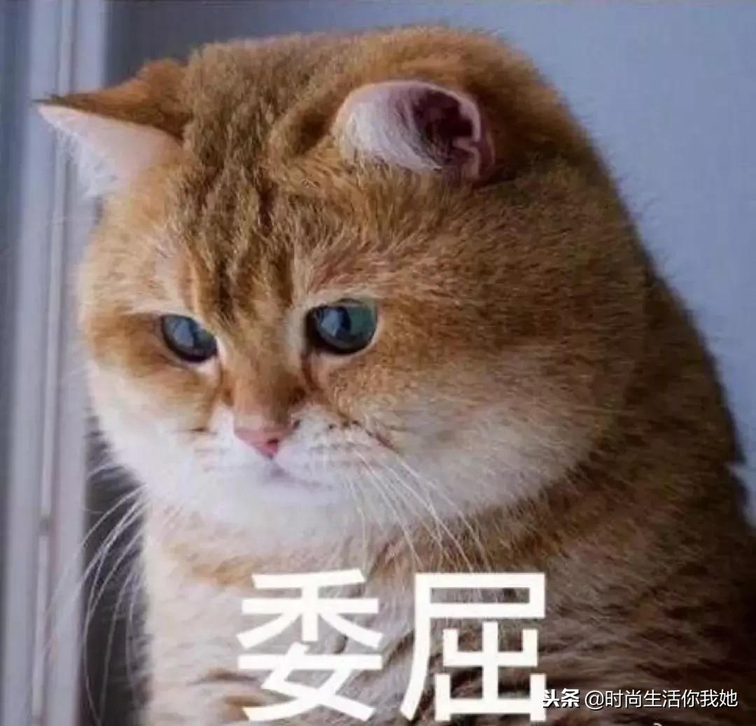 冬天靴子要不要买大一码,冬天靴子建议穿短不穿长