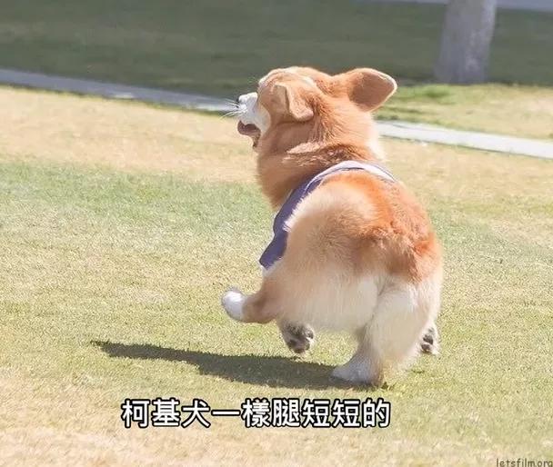 灏忎釜瀛愬瀛ｅ楂橀瀷,灏忎釜瀛愬瀛ｅ楂樺皬鐧介瀷