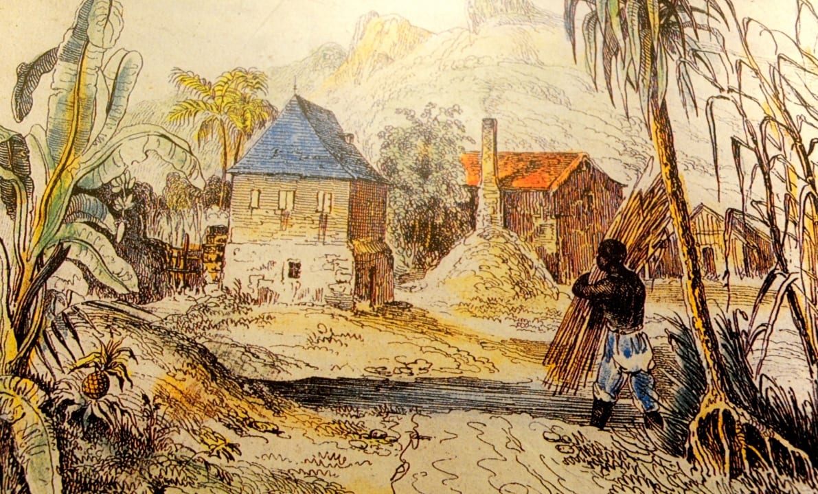 毛里求斯100种美食,毛里求斯国美食