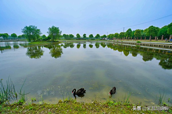 上海崇明小岛旅游,崇明周末自驾游明珠湖度假村
