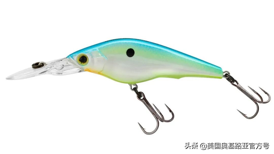 全国渔具展会2021时间表图片,2023国际渔具展会大全一览表