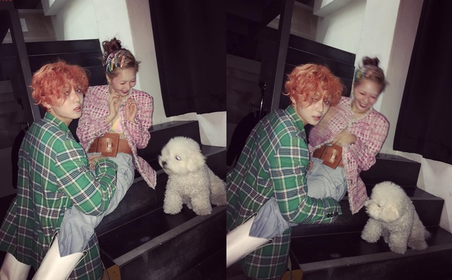 泫雅从明星到草根网红之路,为何同是甜蜜晒恩爱张杰与谢娜就不行