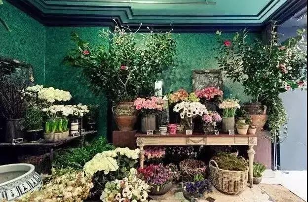 开花店怎么学技术,开花店零基础知识