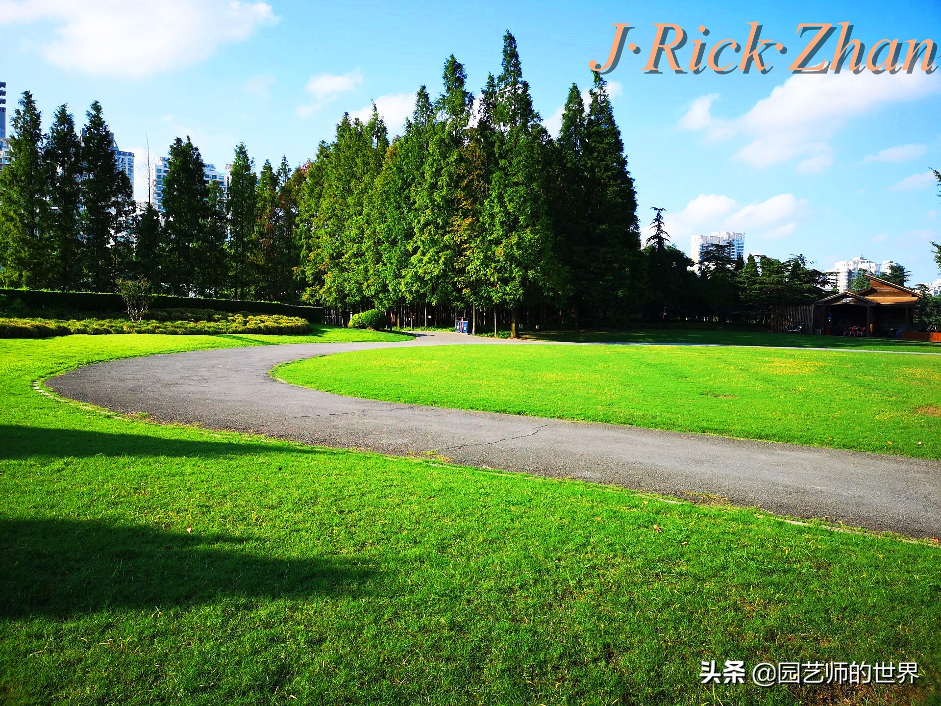 怎么种植草坪不长杂草,如何养好草坪