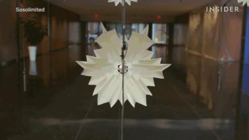 美得足以让人忘记时间流逝,美得让人静止的瞬间